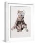 Hyaena Pup, 2019,-Mark Adlington-Framed Giclee Print