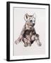 Hyaena Pup, 2019,-Mark Adlington-Framed Giclee Print