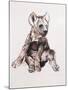 Hyaena Pup, 2019,-Mark Adlington-Mounted Giclee Print