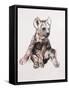Hyaena Pup, 2019,-Mark Adlington-Framed Stretched Canvas