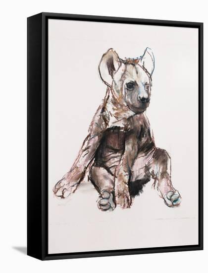 Hyaena Pup, 2019,-Mark Adlington-Framed Stretched Canvas