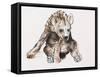 Hyaena Pup, 2019,-Mark Adlington-Framed Stretched Canvas