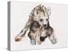 Hyaena Pup, 2019,-Mark Adlington-Stretched Canvas