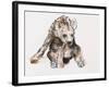 Hyaena Pup, 2019,-Mark Adlington-Framed Giclee Print