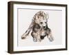 Hyaena Pup, 2019,-Mark Adlington-Framed Giclee Print