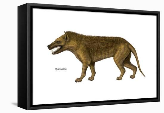 Hyaenodon, Extinct Species, Mammals-Encyclopaedia Britannica-Framed Stretched Canvas