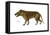 Hyaenodon, Extinct Species, Mammals-Encyclopaedia Britannica-Framed Stretched Canvas
