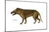 Hyaenodon, Extinct Species, Mammals-Encyclopaedia Britannica-Mounted Poster