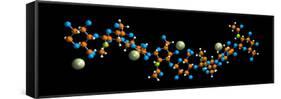 Hyaluronic Acid, Molecular Model-Dr. Mark J.-Framed Stretched Canvas