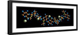 Hyaluronic Acid, Molecular Model-Dr. Mark J.-Framed Photographic Print