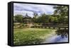 Hyangwonjeong Pavilion and Chwihyanggyo Bridge over Water Lily Filled Lake in Summer, South Korea-Eleanor Scriven-Framed Stretched Canvas