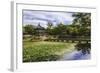 Hyangwonjeong Pavilion and Chwihyanggyo Bridge over Water Lily Filled Lake in Summer, South Korea-Eleanor Scriven-Framed Photographic Print