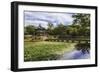 Hyangwonjeong Pavilion and Chwihyanggyo Bridge over Water Lily Filled Lake in Summer, South Korea-Eleanor Scriven-Framed Photographic Print