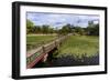 Hyangwonjeong Pavilion and Chwihyanggyo Bridge over Water Lily Filled Lake in Summer, South Korea-Eleanor Scriven-Framed Photographic Print