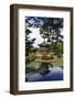 Hyangwonjeong, South Korea-Eleanor Scriven-Framed Photographic Print