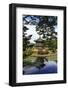 Hyangwonjeong, South Korea-Eleanor Scriven-Framed Photographic Print