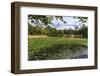 Hyangwonjeong, South Korea-Eleanor Scriven-Framed Photographic Print