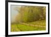 Hyatt Lane, Cades Cove, Great Smoky Mountains National Park, Tennessee-Adam Jones-Framed Photographic Print
