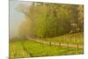 Hyatt Lane, Cades Cove, Great Smoky Mountains National Park, Tennessee-Adam Jones-Mounted Photographic Print