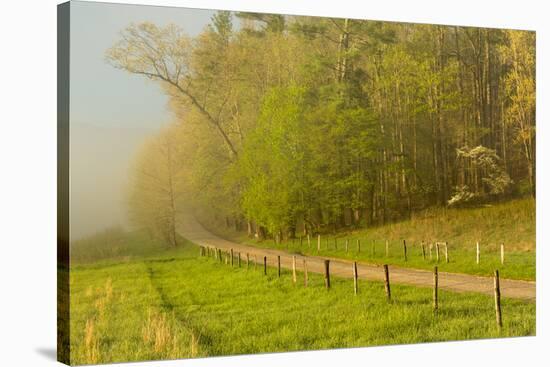 Hyatt Lane, Cades Cove, Great Smoky Mountains National Park, Tennessee-Adam Jones-Stretched Canvas