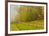 Hyatt Lane, Cades Cove, Great Smoky Mountains National Park, Tennessee-Adam Jones-Framed Premium Photographic Print