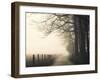 Hyatt Lane-Nicholas Bell-Framed Photographic Print