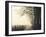 Hyatt Lane-Nicholas Bell-Framed Photographic Print