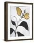 Hybrid Annuals I-Vanna Lam-Framed Art Print