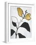 Hybrid Annuals I-Vanna Lam-Framed Art Print