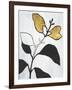 Hybrid Annuals I-Vanna Lam-Framed Art Print