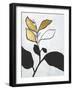 Hybrid Annuals II-Vanna Lam-Framed Art Print