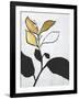 Hybrid Annuals II-Vanna Lam-Framed Art Print