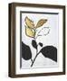 Hybrid Annuals II-Vanna Lam-Framed Art Print