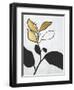 Hybrid Annuals II-Vanna Lam-Framed Art Print