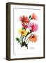 Hybrid Gerbera-null-Framed Art Print