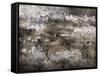 Hybrid Grayscale-Alexys Henry-Framed Stretched Canvas