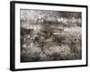 Hybrid Grayscale-Alexys Henry-Framed Giclee Print