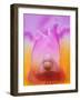 Hybrid Orchid-Adam Jones-Framed Photographic Print