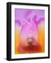 Hybrid Orchid-Adam Jones-Framed Photographic Print