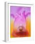 Hybrid Orchid-Adam Jones-Framed Photographic Print