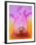 Hybrid Orchid-Adam Jones-Framed Photographic Print