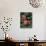 Hybrid Waterlillys, Indiana, USA-Adam Jones-Photographic Print displayed on a wall