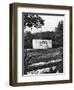 Hyde Park Bird Sanctuary and Hudson Memorial, London, 1926-1927-McLeish-Framed Giclee Print