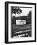 Hyde Park Bird Sanctuary and Hudson Memorial, London, 1926-1927-McLeish-Framed Giclee Print