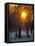 Hyde Park in Winter, London, England, United Kingdom-Adam Woolfitt-Framed Stretched Canvas