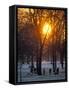 Hyde Park in Winter, London, England, United Kingdom-Adam Woolfitt-Framed Stretched Canvas