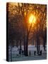 Hyde Park in Winter, London, England, United Kingdom-Adam Woolfitt-Stretched Canvas