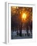 Hyde Park in Winter, London, England, United Kingdom-Adam Woolfitt-Framed Photographic Print
