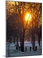 Hyde Park in Winter, London, England, United Kingdom-Adam Woolfitt-Mounted Photographic Print