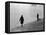 Hyde Park in Winter-Cornell Capa-Framed Stretched Canvas
